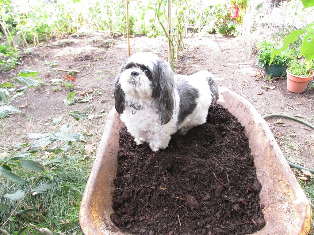 finished leaf mould